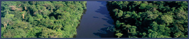 O Novo Código Ambiental
